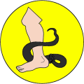 Miniatura de la versión del 13:20 14 may 2026